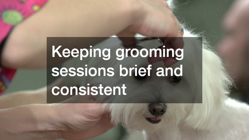 woman trimming her dog's fur