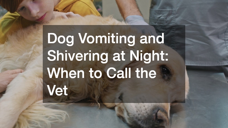 Dog Vomiting and Shivering at Night: When to Call the Vet